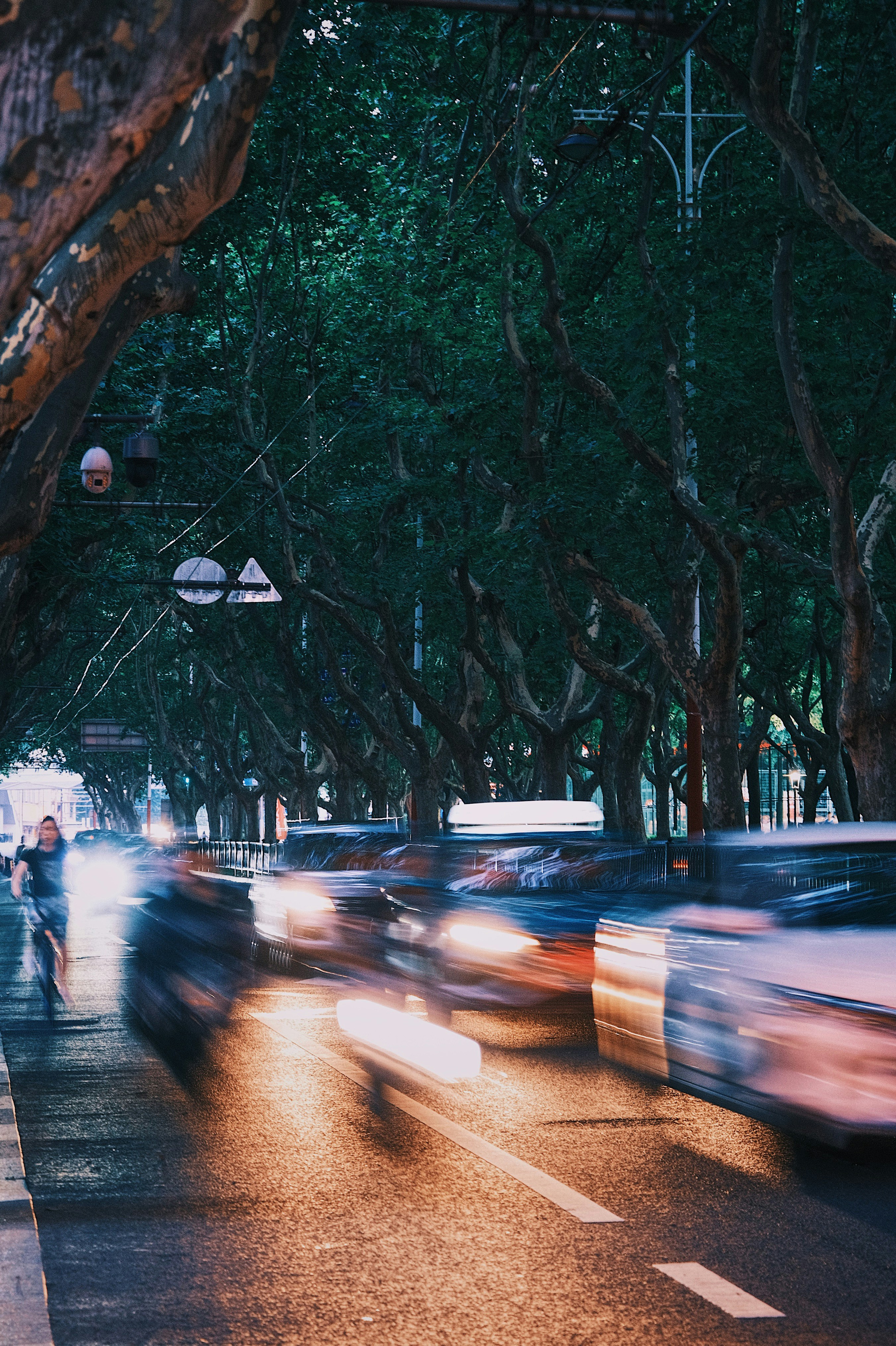 Photo by alex_zijian