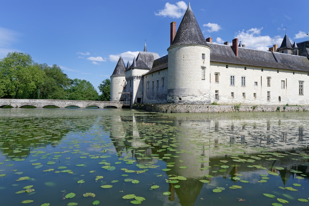 a castle with a pond in front of it