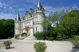 a large castle like building with a lot of trees around it