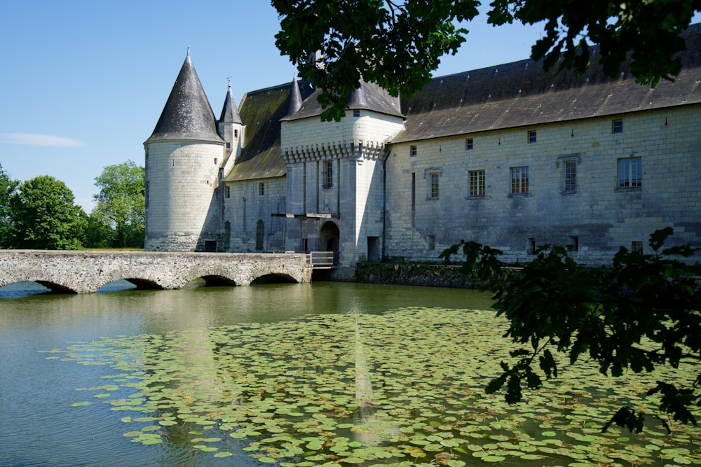 a castle with a bridge over a body of water