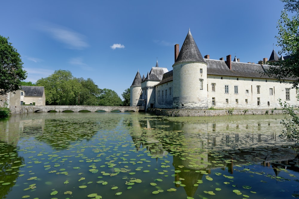 a castle with a pond in front of it