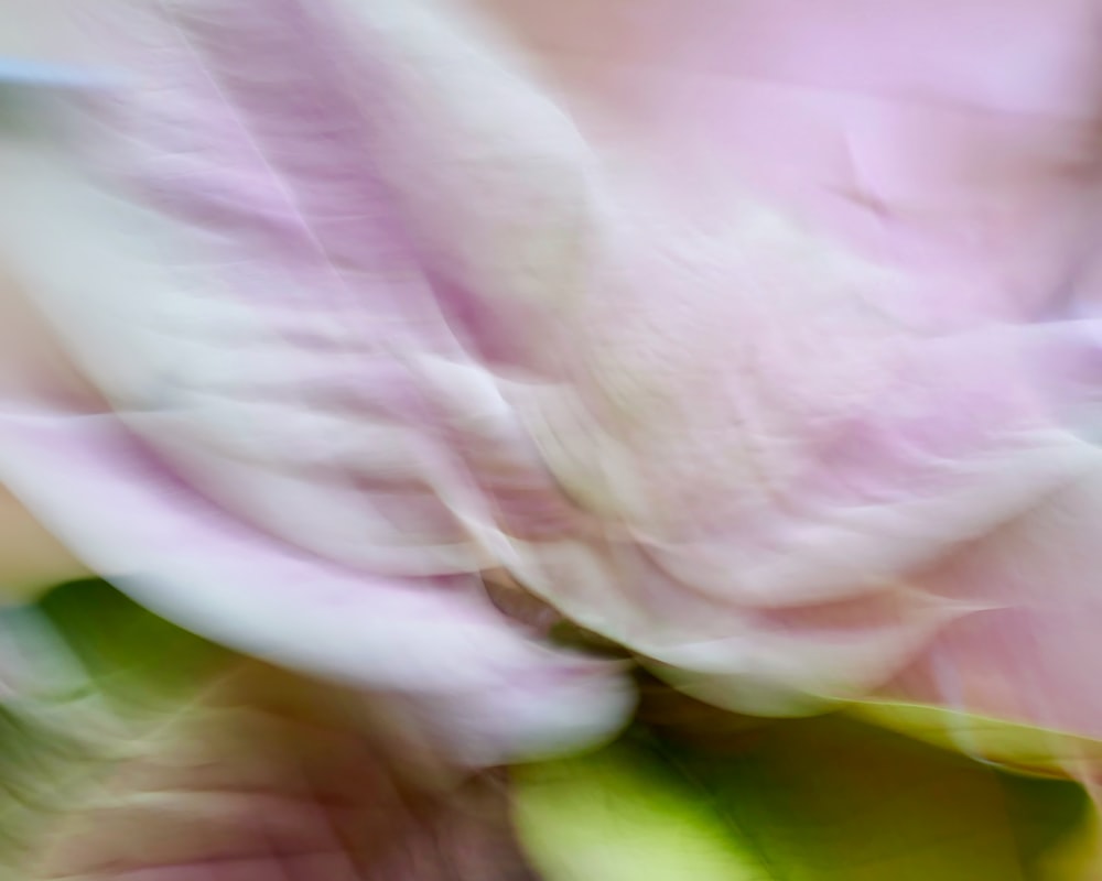 a blurry photo of a flower with a blurry background