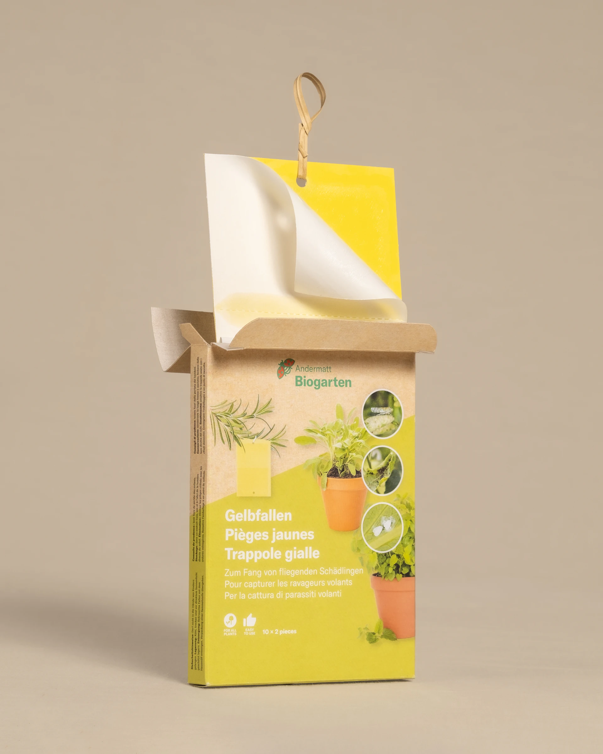 Schluss mit der Müllhalde im Büro: Warum FooBi das Mehrweg-Versprechen wirklich hält