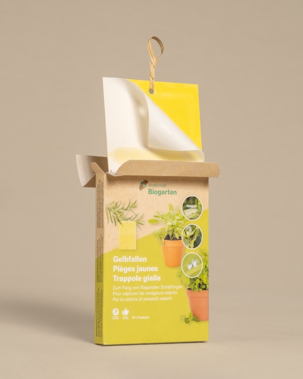 a box with a plant inside of it