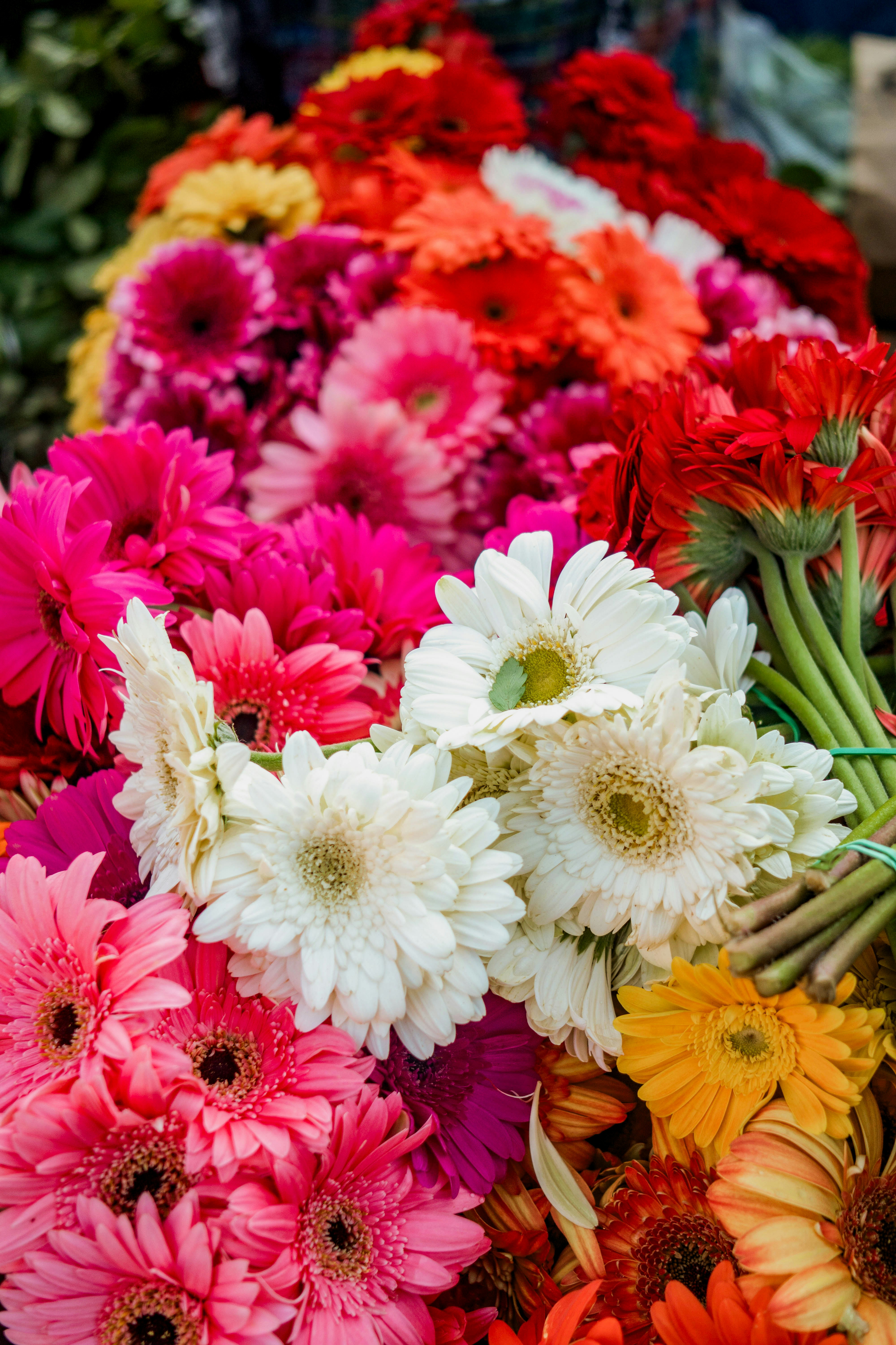 Photo by shelbyfigueroa