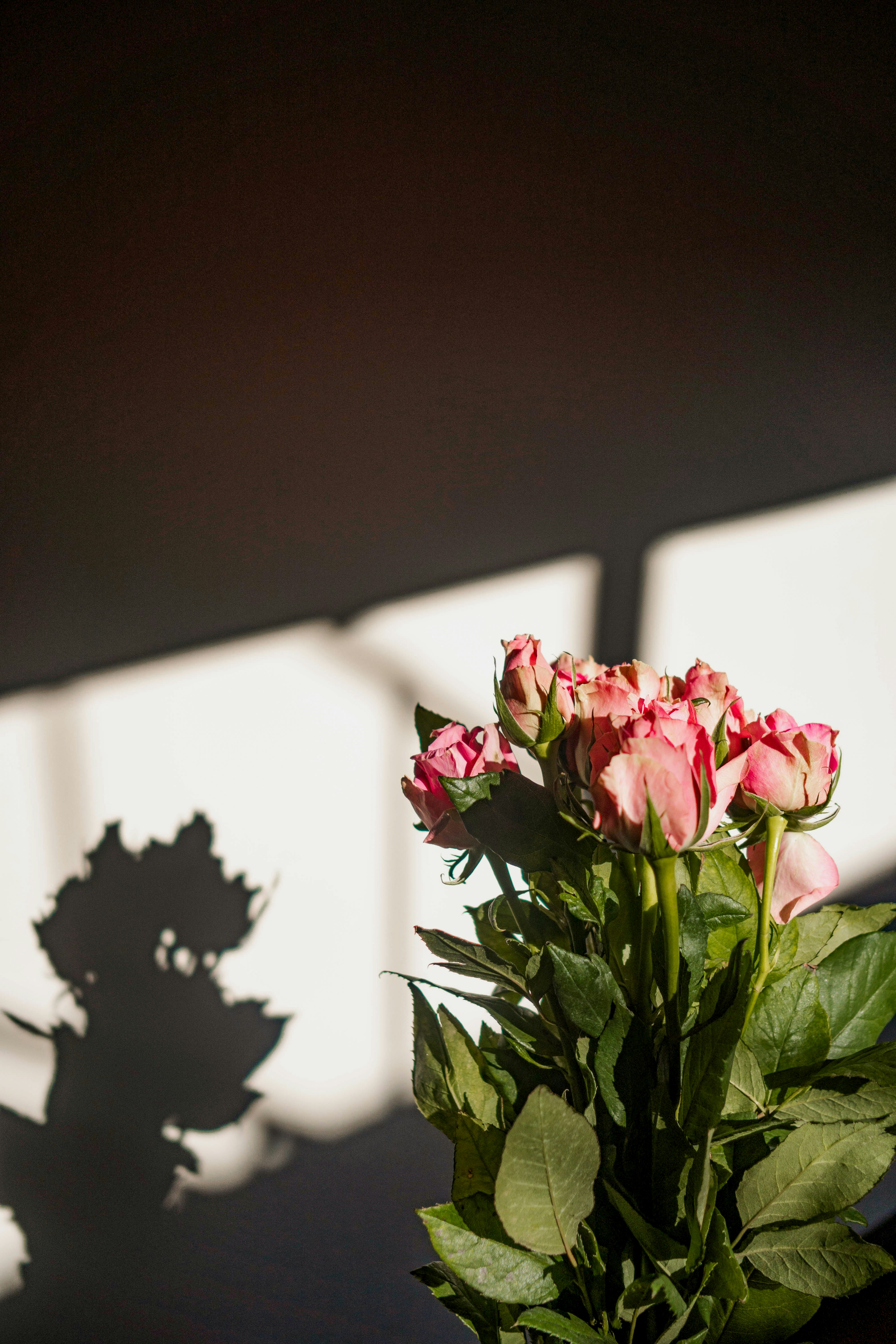 Photo by shelbyfigueroa