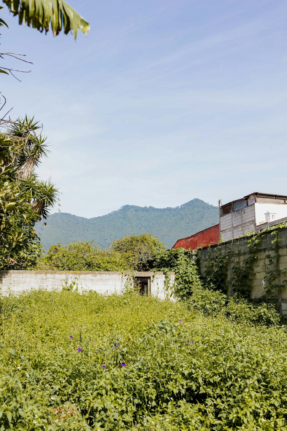 an old building surrounded by vegetation and mountains in the background