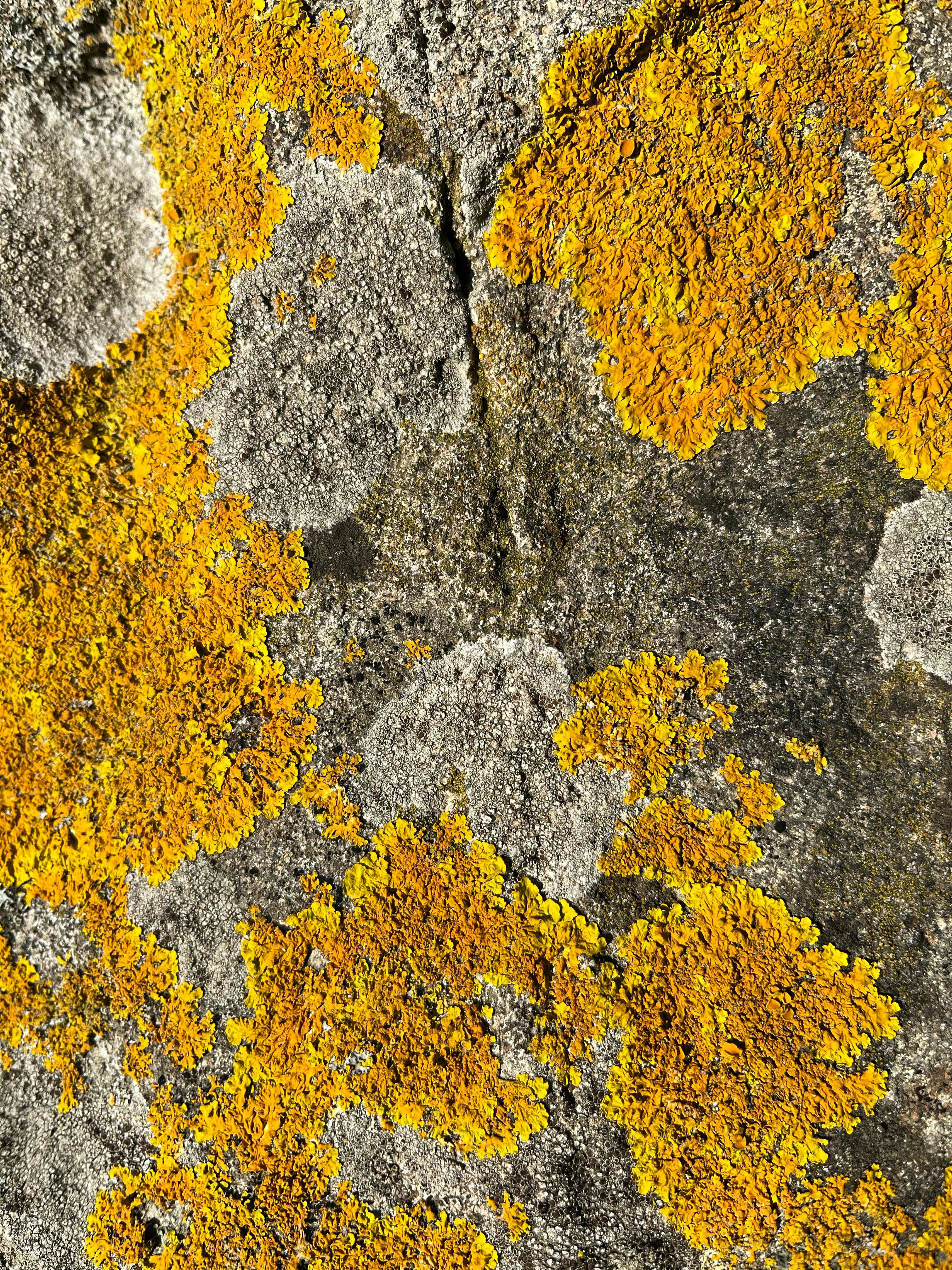 Photo by josh_crosland