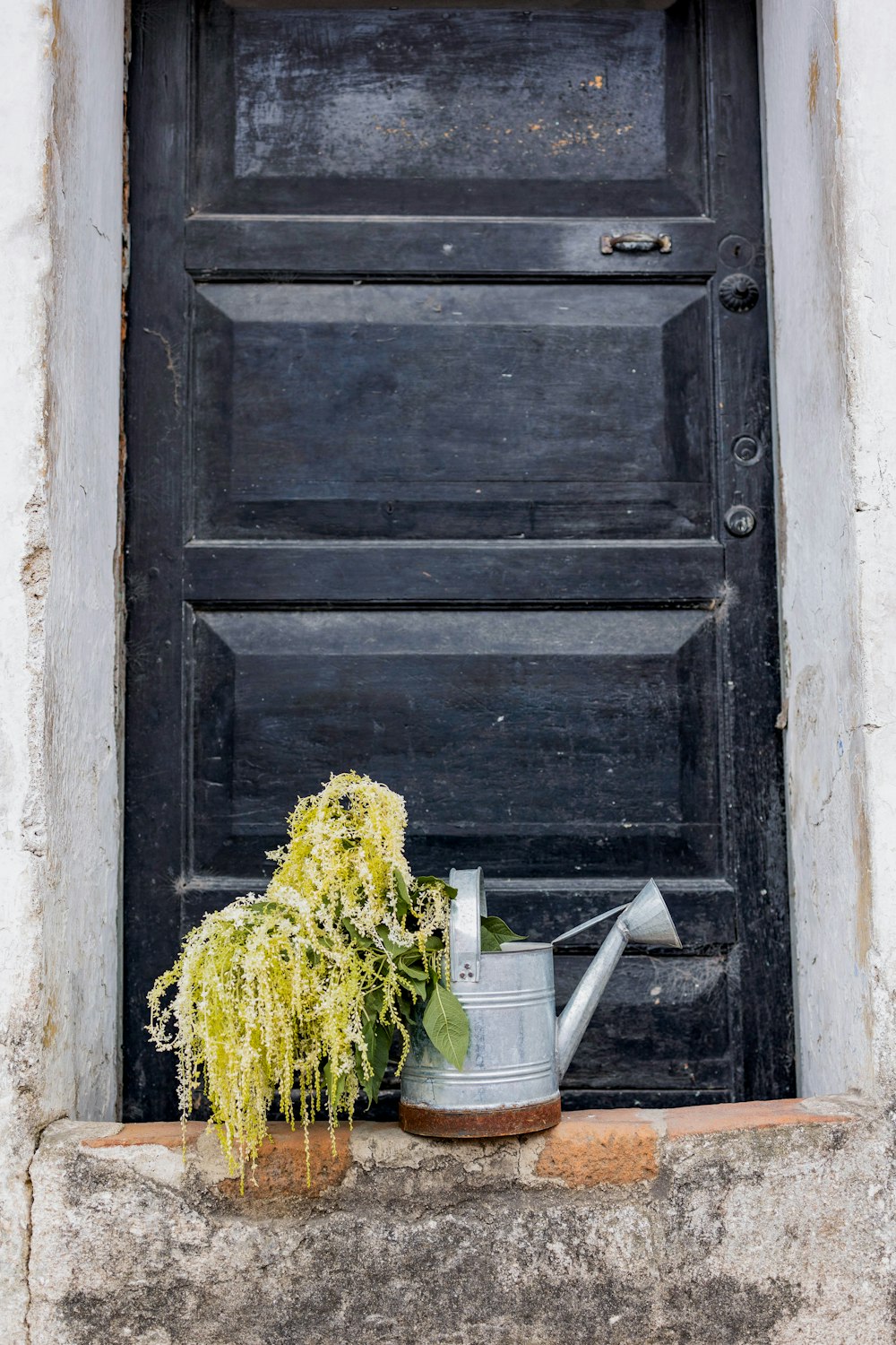 a watering can with a plant in front of a door