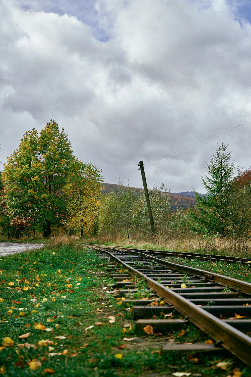 un binario del treno con alberi sullo sfondo