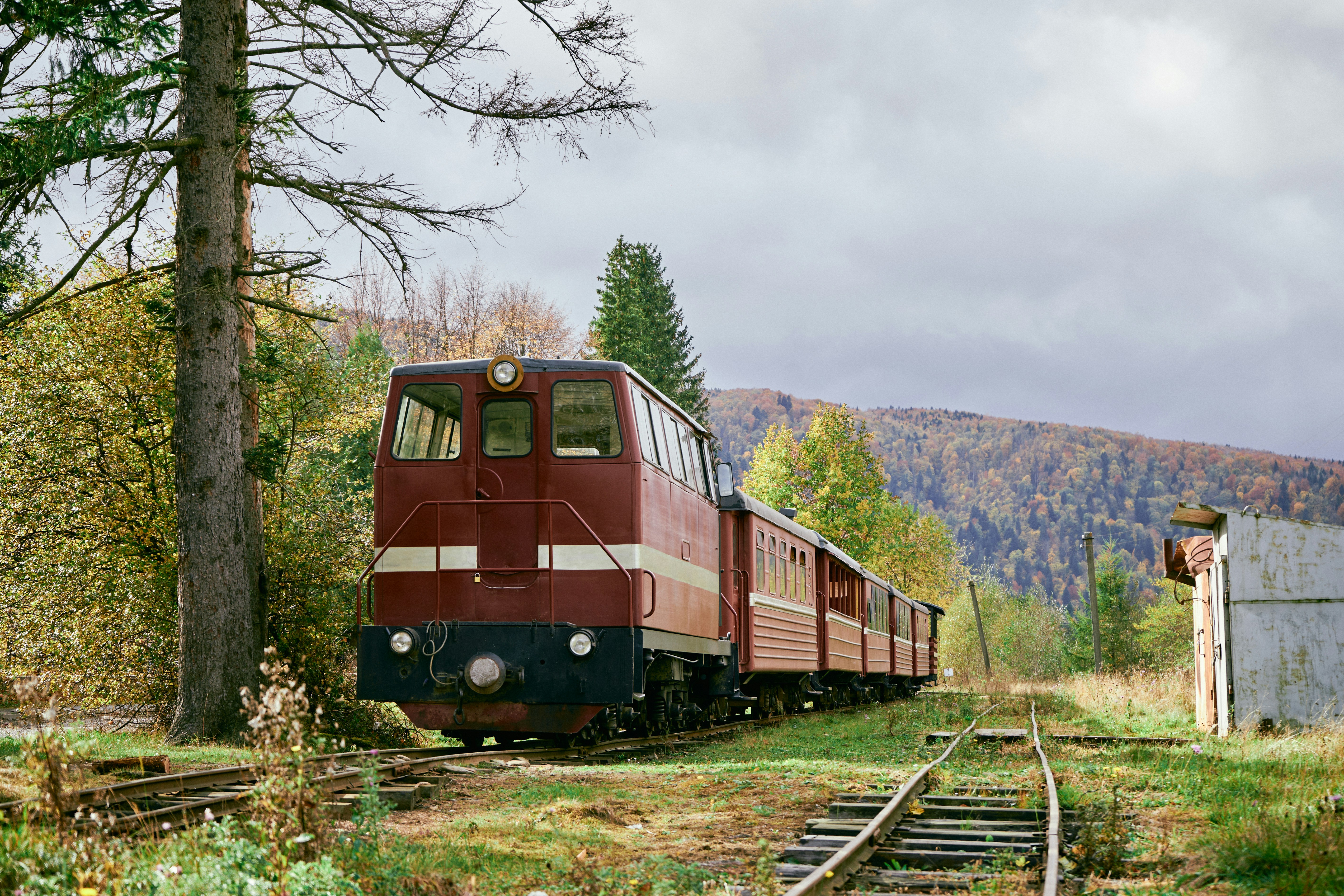 a red train traveling down train tracks next to a forest