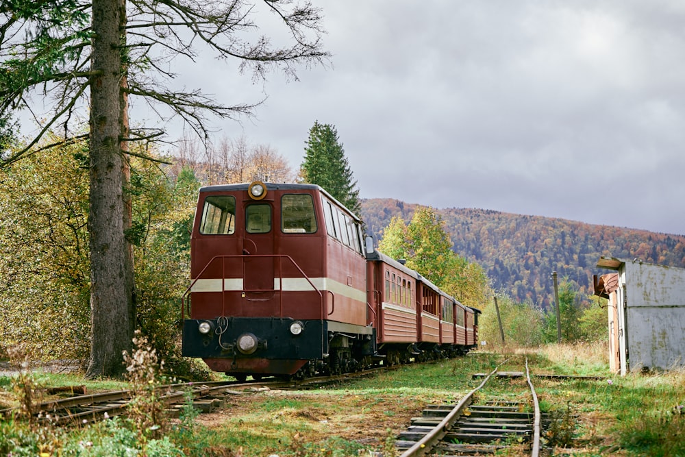 a red train traveling down train tracks next to a forest