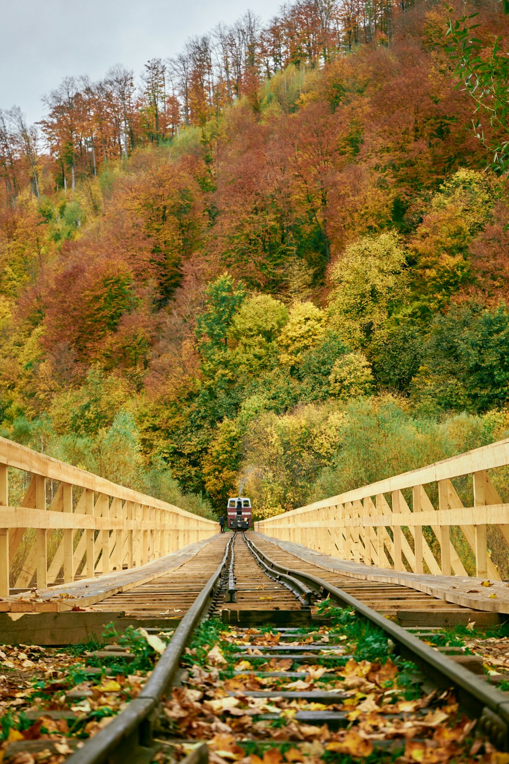 a couple of people on a train track