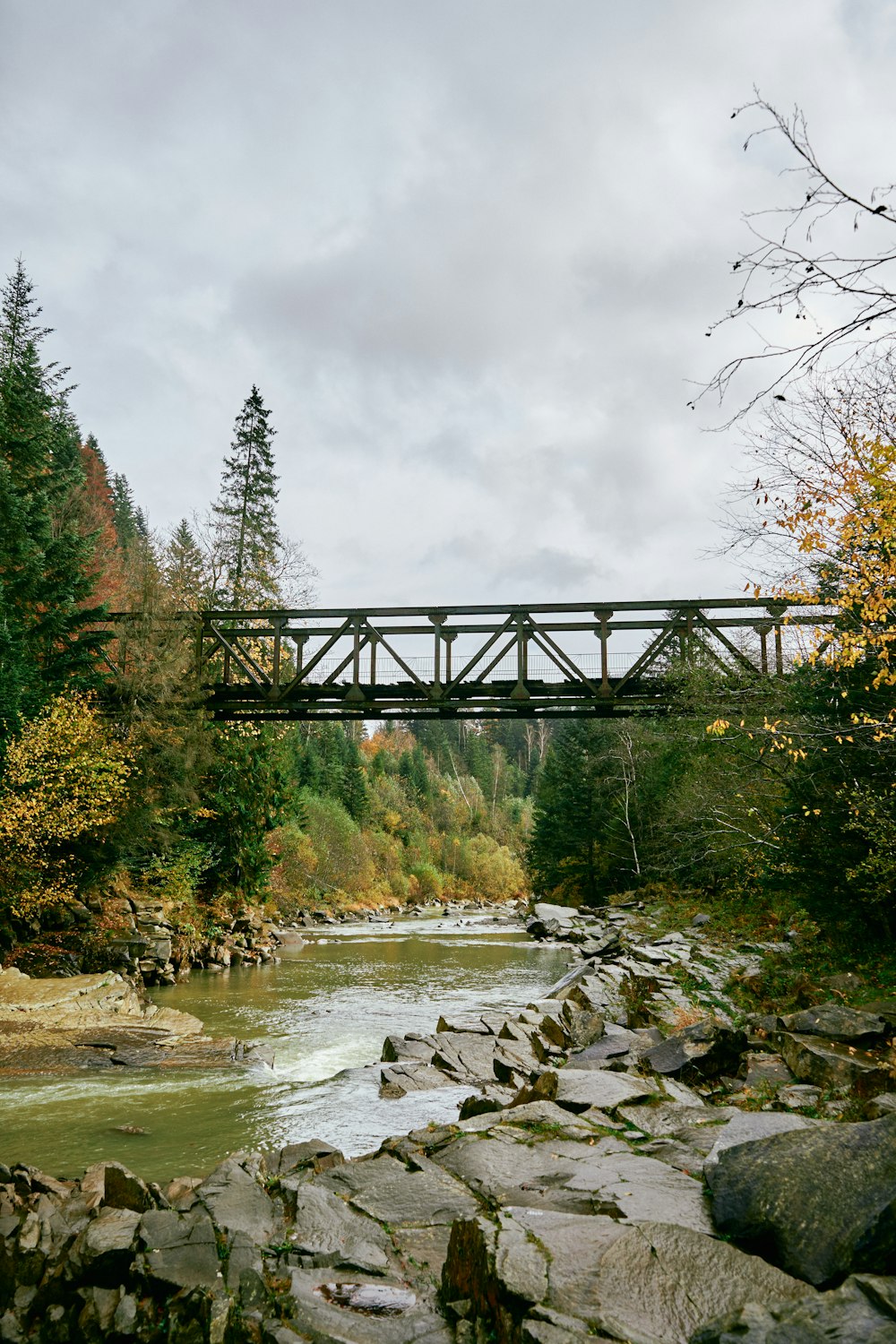 a bridge over a river surrounded by trees