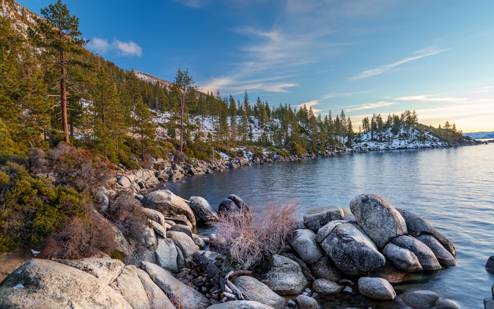 a body of water surrounded by rocks and trees