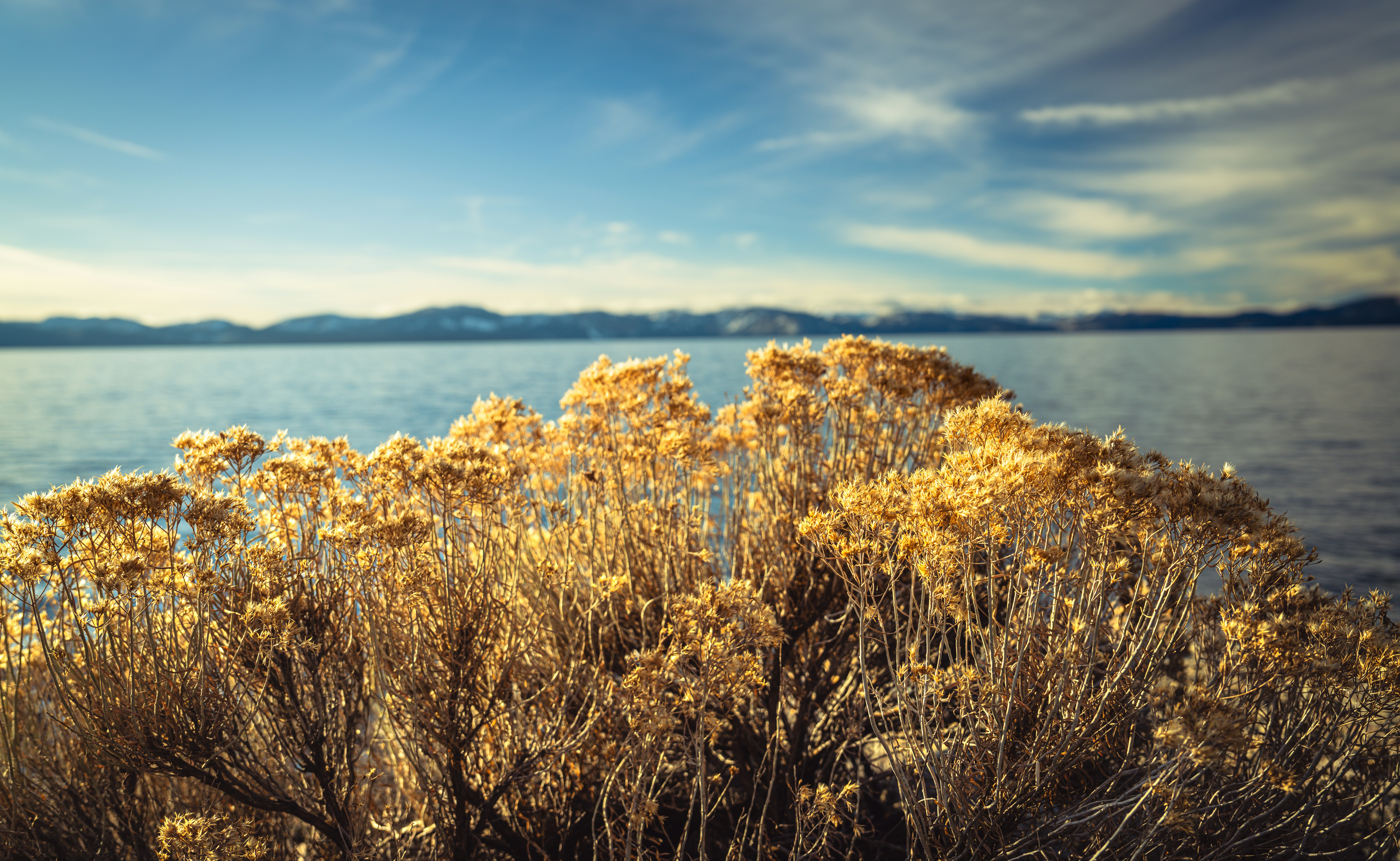 Photo by happy_pixel