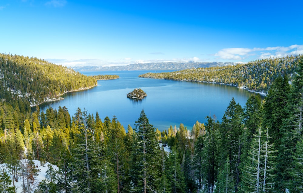 a lake surrounded by trees in the middle of a forest