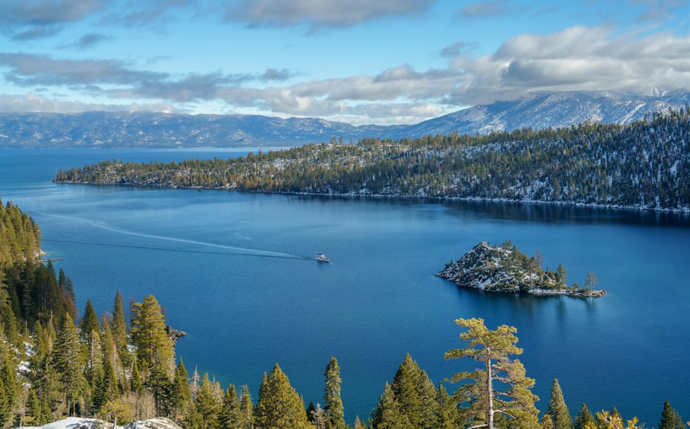 a large body of water surrounded by trees