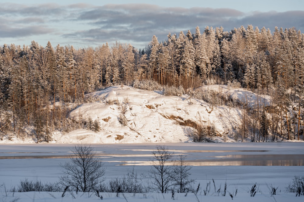 a snow covered mountain with a lake in the foreground