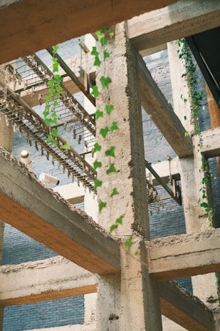a building with vines growing on the side of it