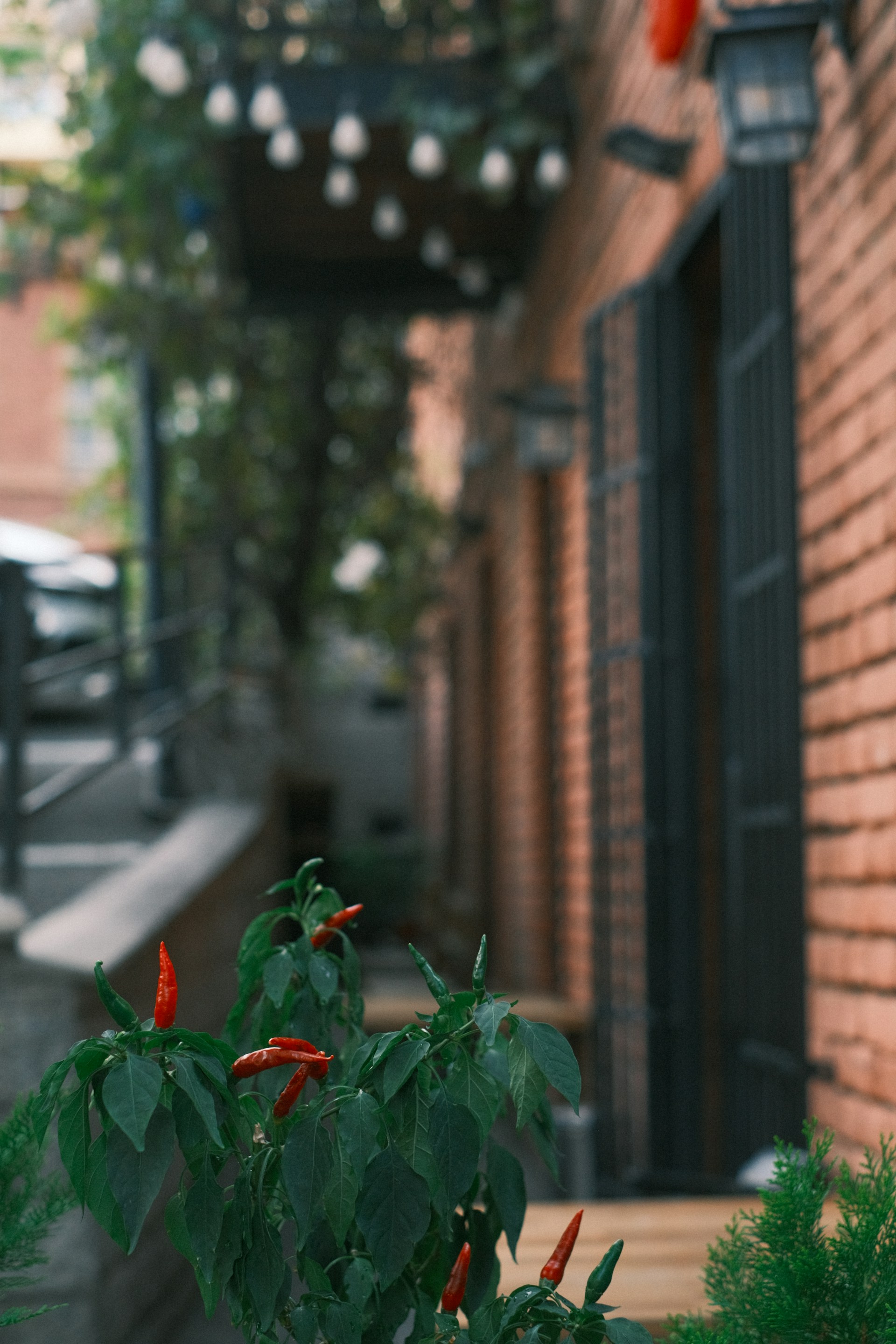 a red fire hydrant sitting on the side of a brick building