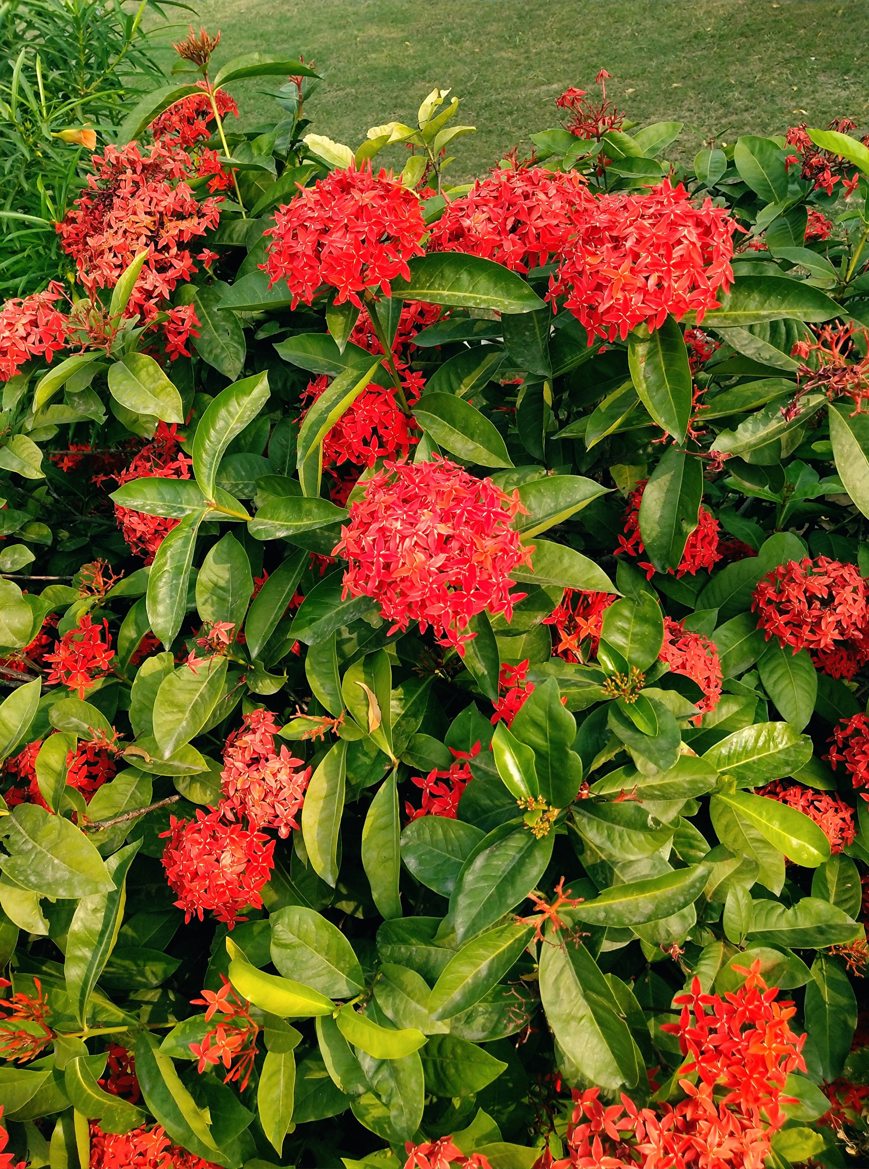 Photo by preetibgautam