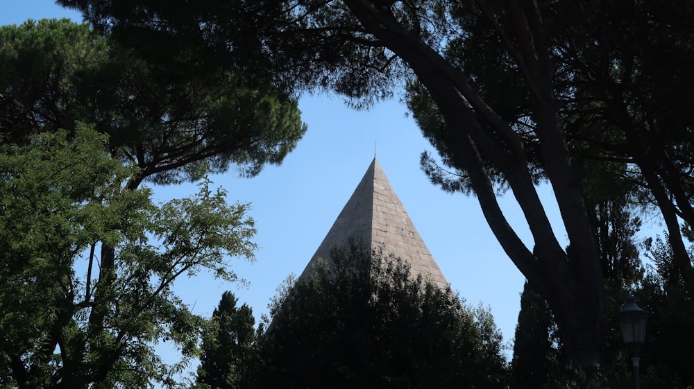 a view of a very tall building through some trees