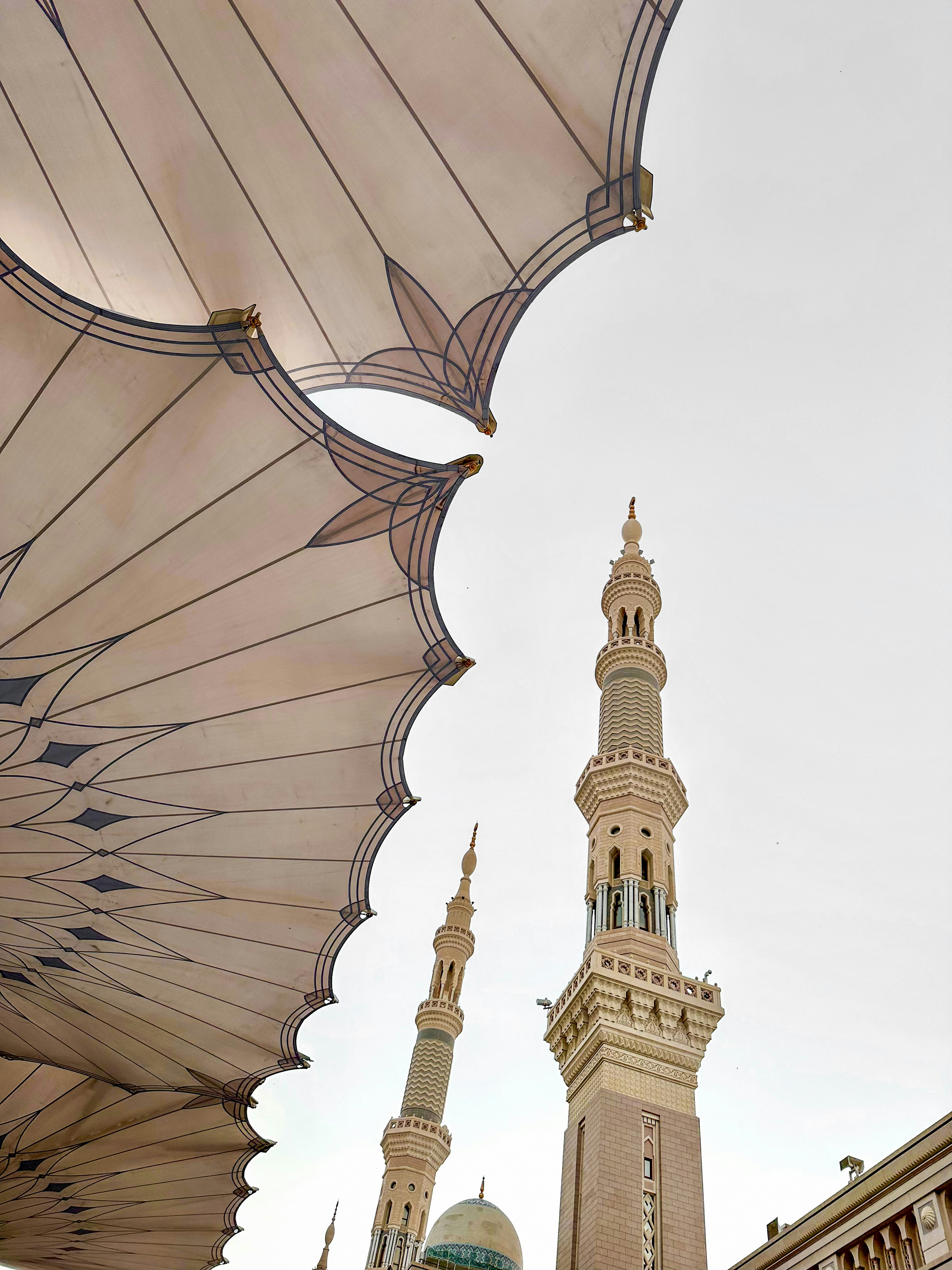 Photo by yazeedhomaid