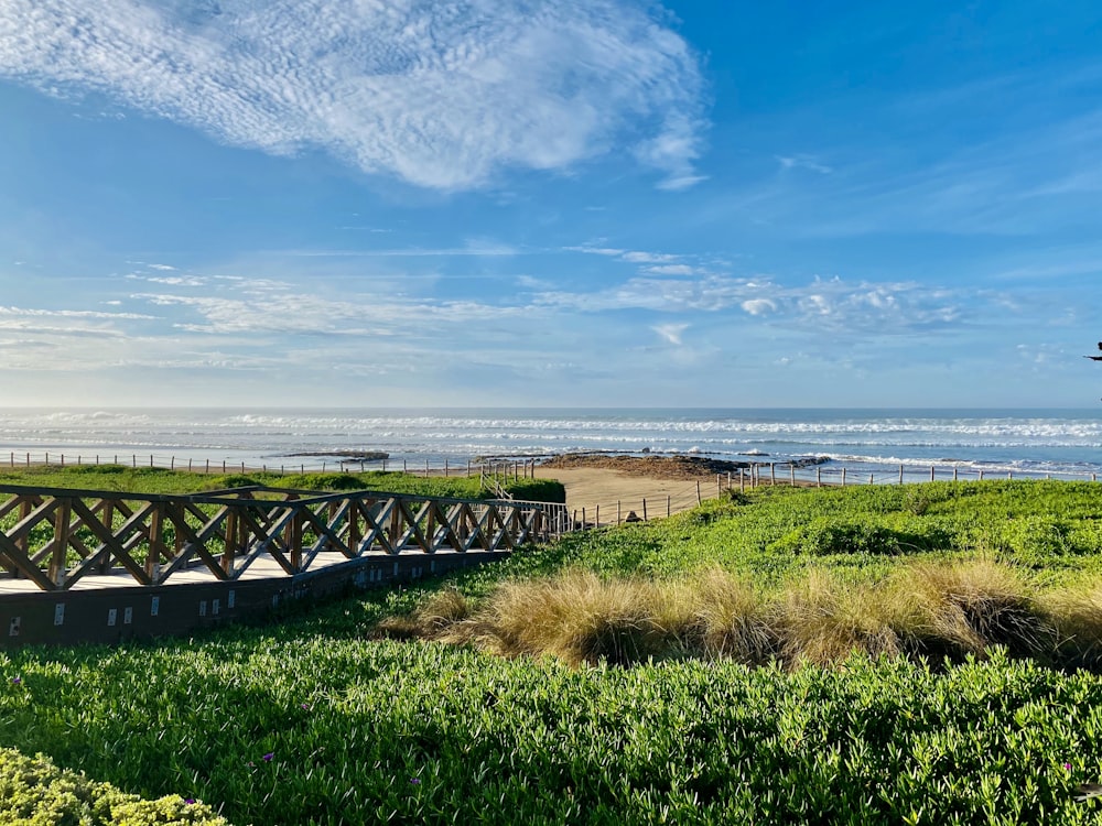 a wooden bench sitting on top of a lush green field