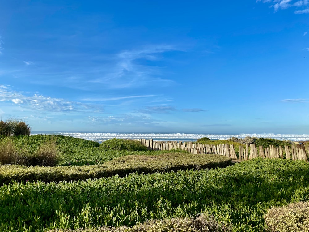 a grassy field with a wooden fence and ocean in the background