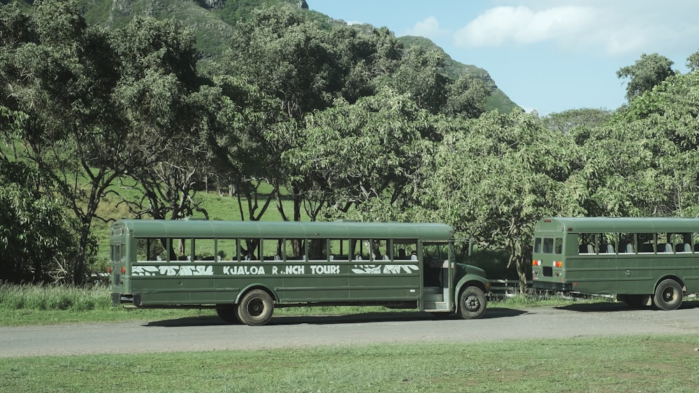 two green school buses parked on the side of a road