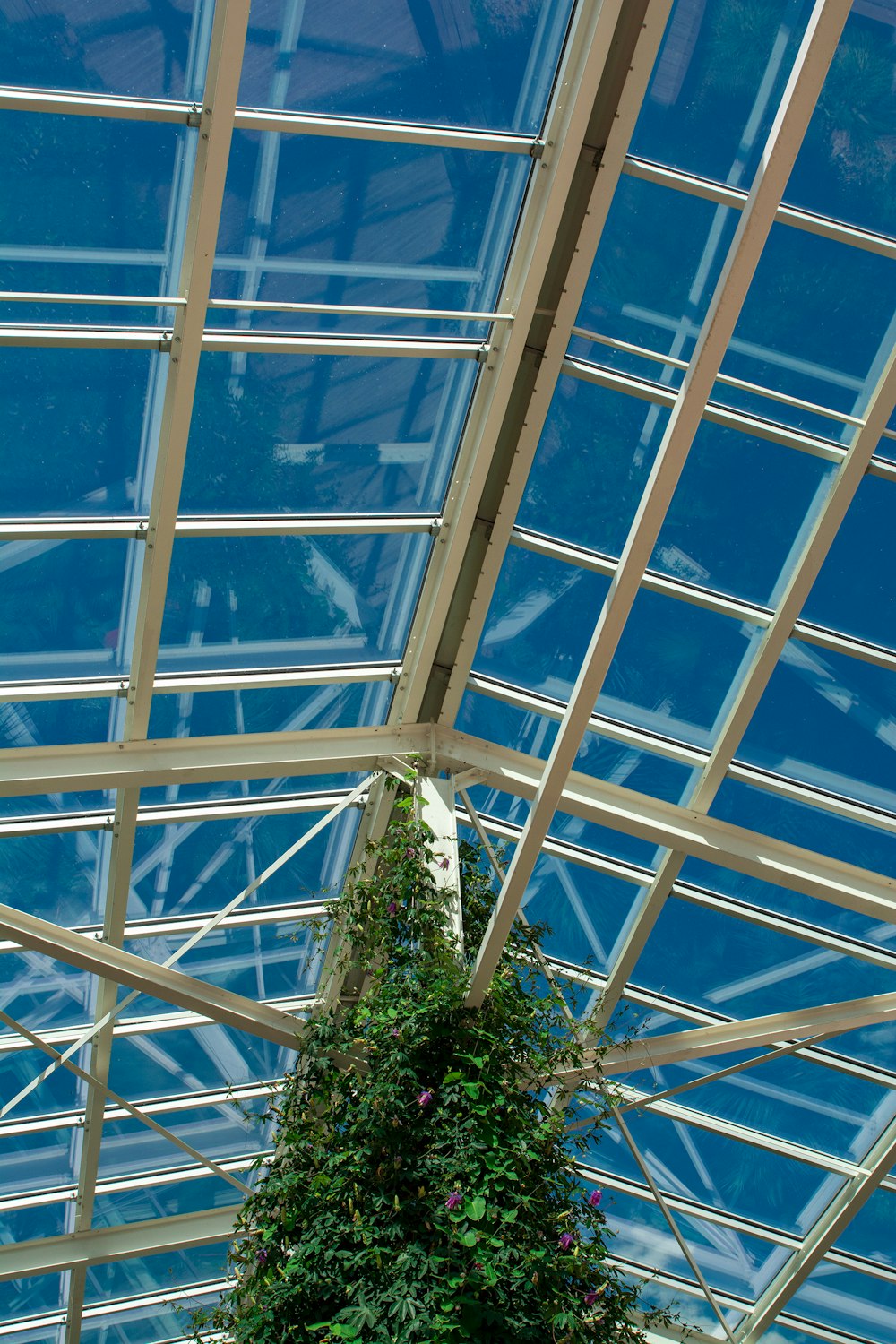 a very tall tree inside of a building