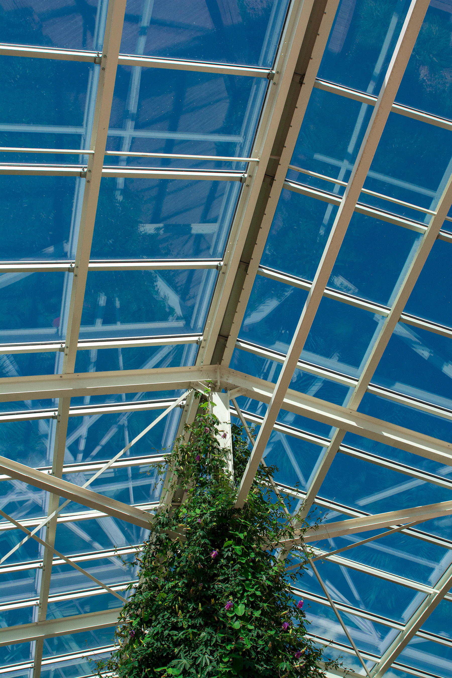 A glass roof grid of pale aluminium bars against a deep blue sky