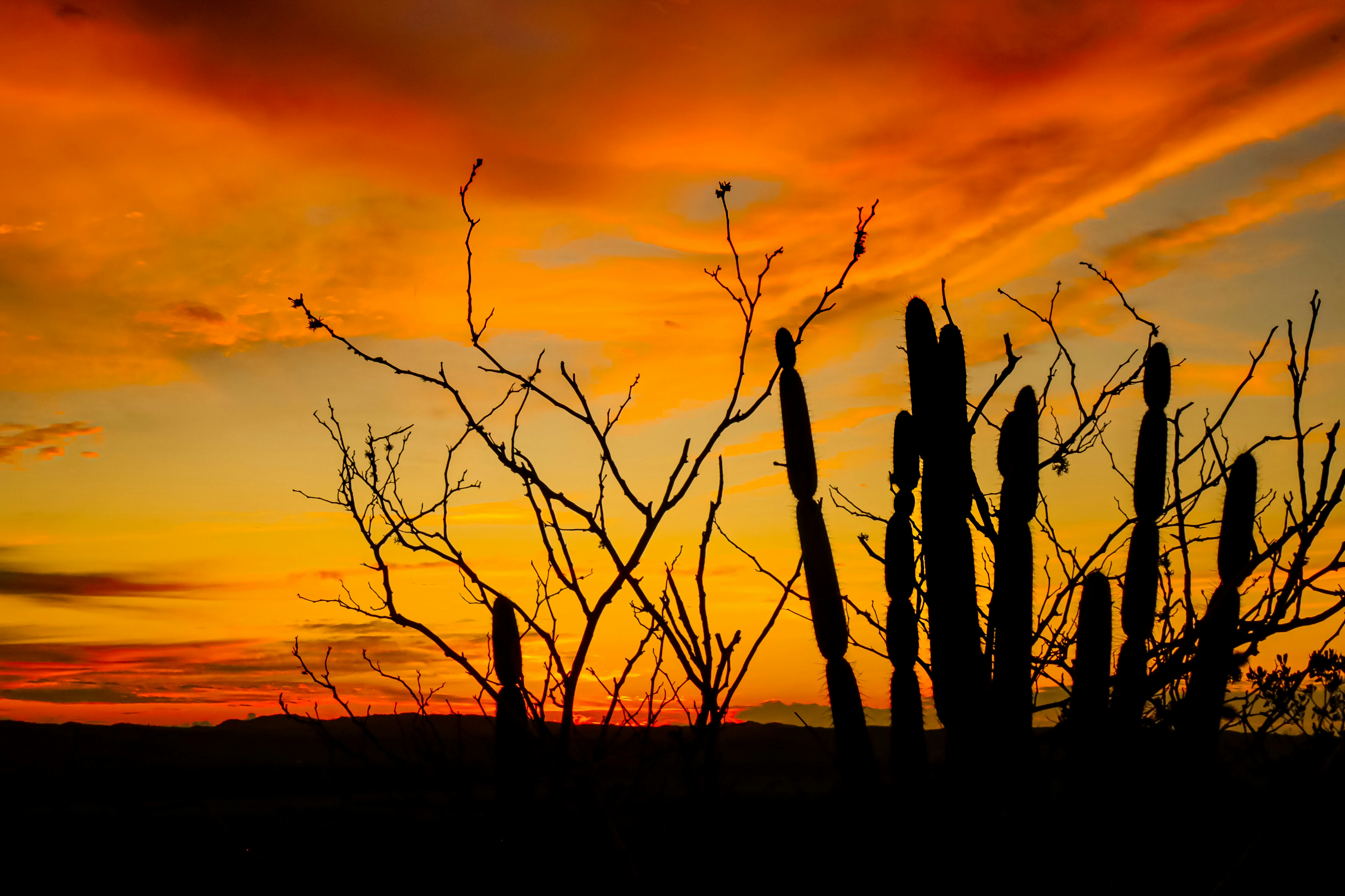 Photo by frandphotos