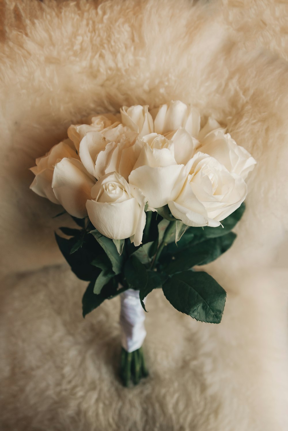 a bouquet of white roses sitting on top of a furry surface