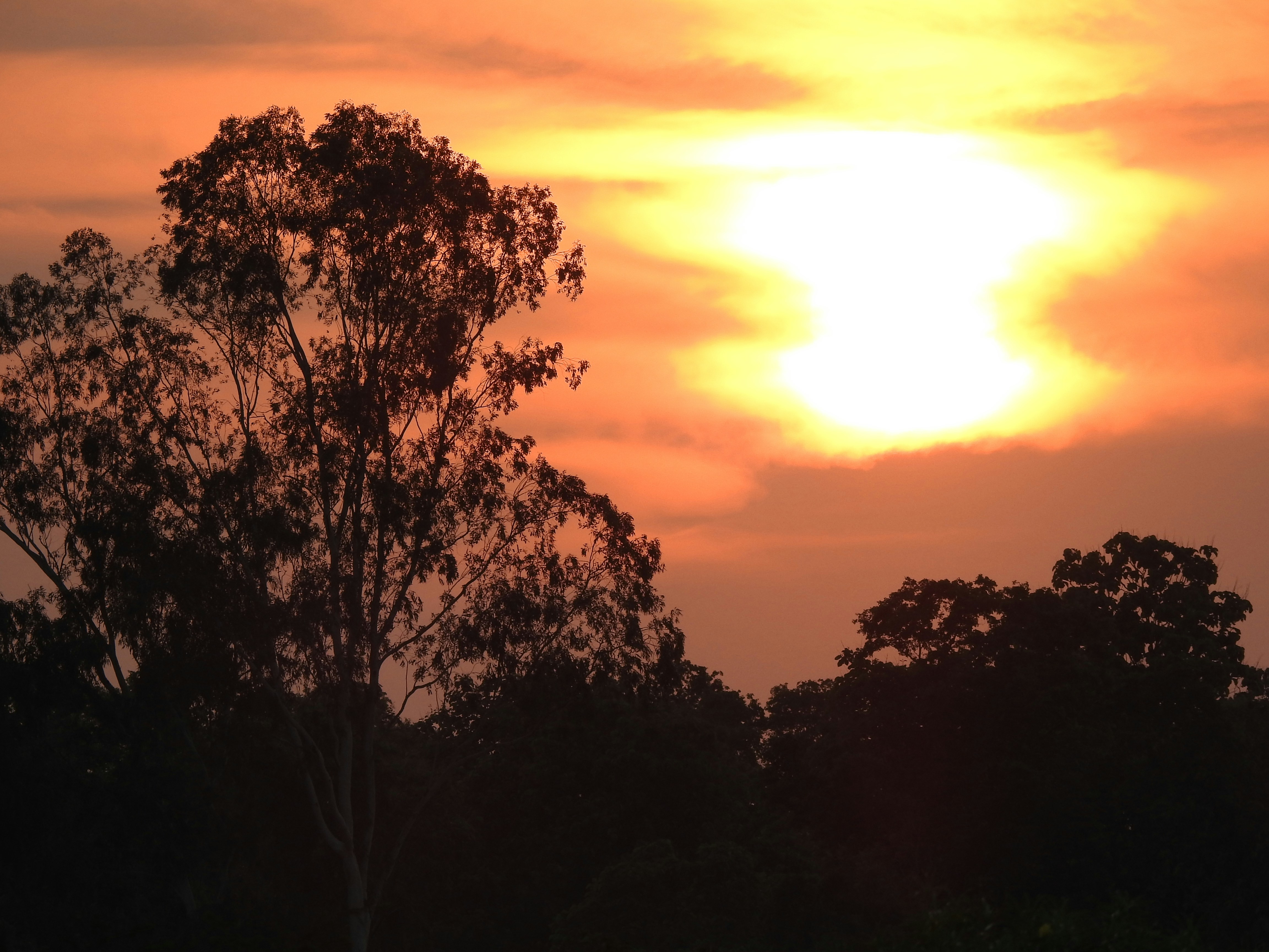 Lumbini – Natural Environment & Landscapes