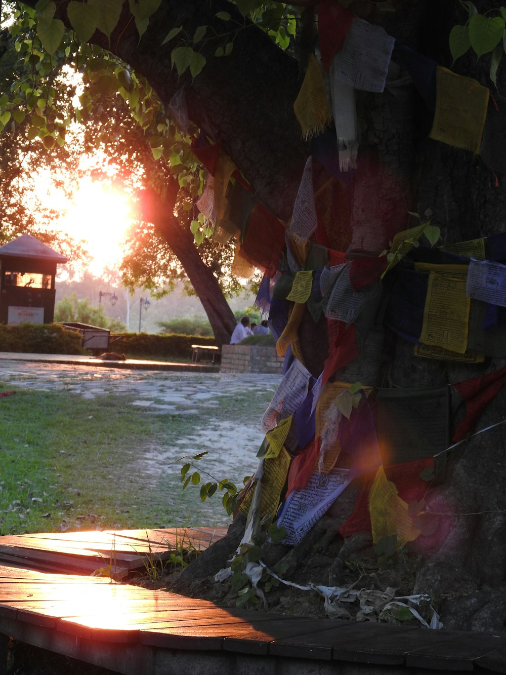 the sun is setting behind a tree in a park