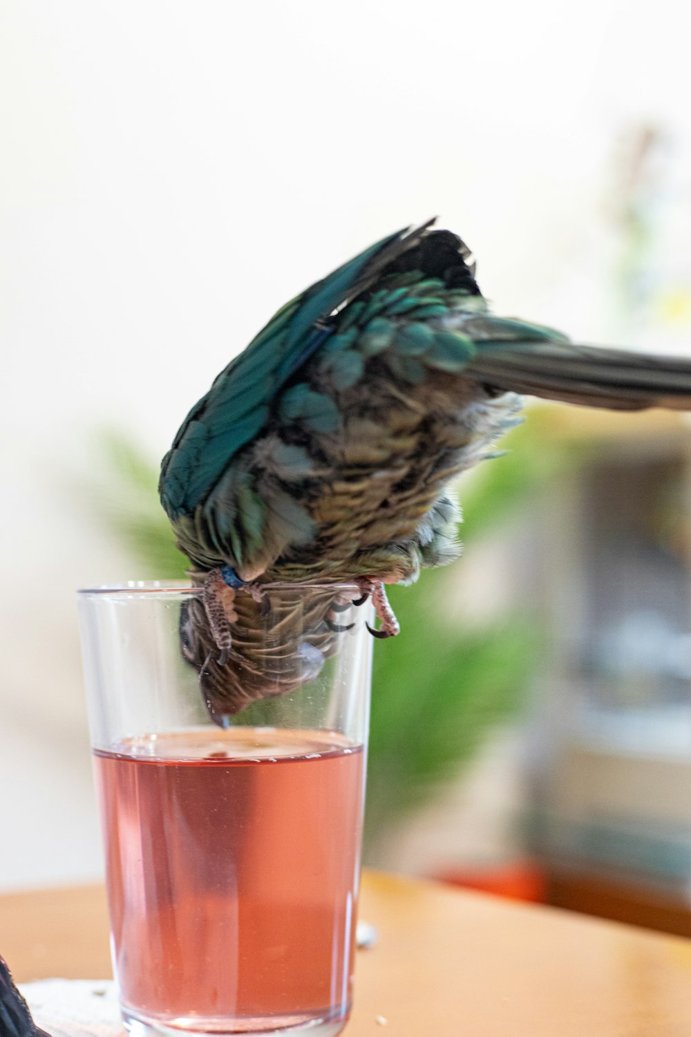 a bird perched on top of a glass of water