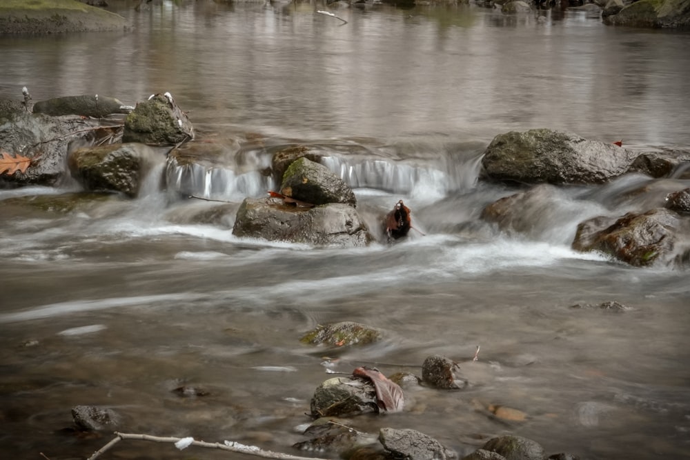 a man standing in a stream of water surrounded by rocks