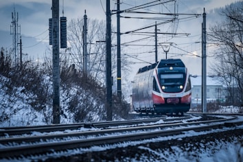 a train traveling down train tracks next to a forest