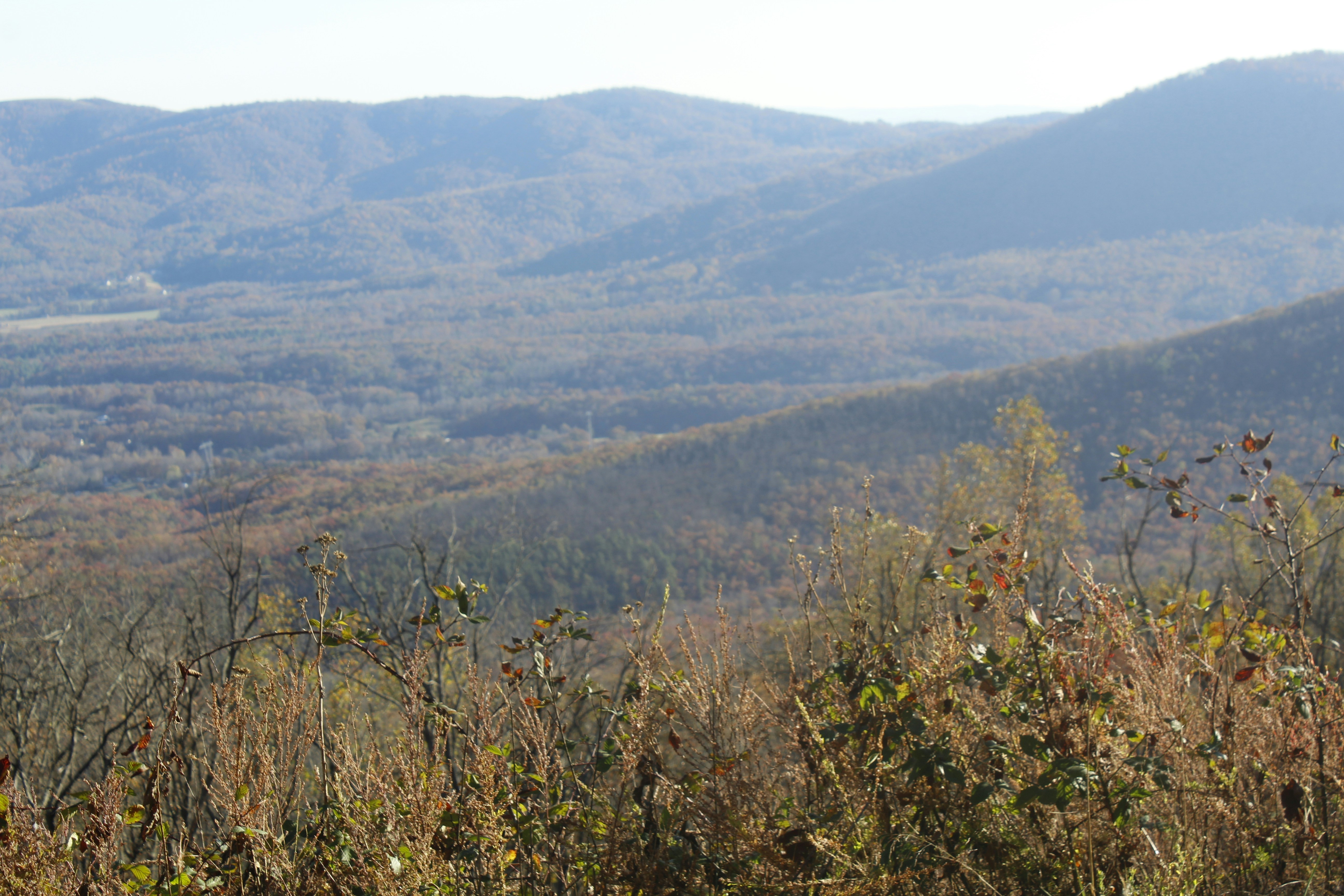 a view of a mountain range with trees in the foreground