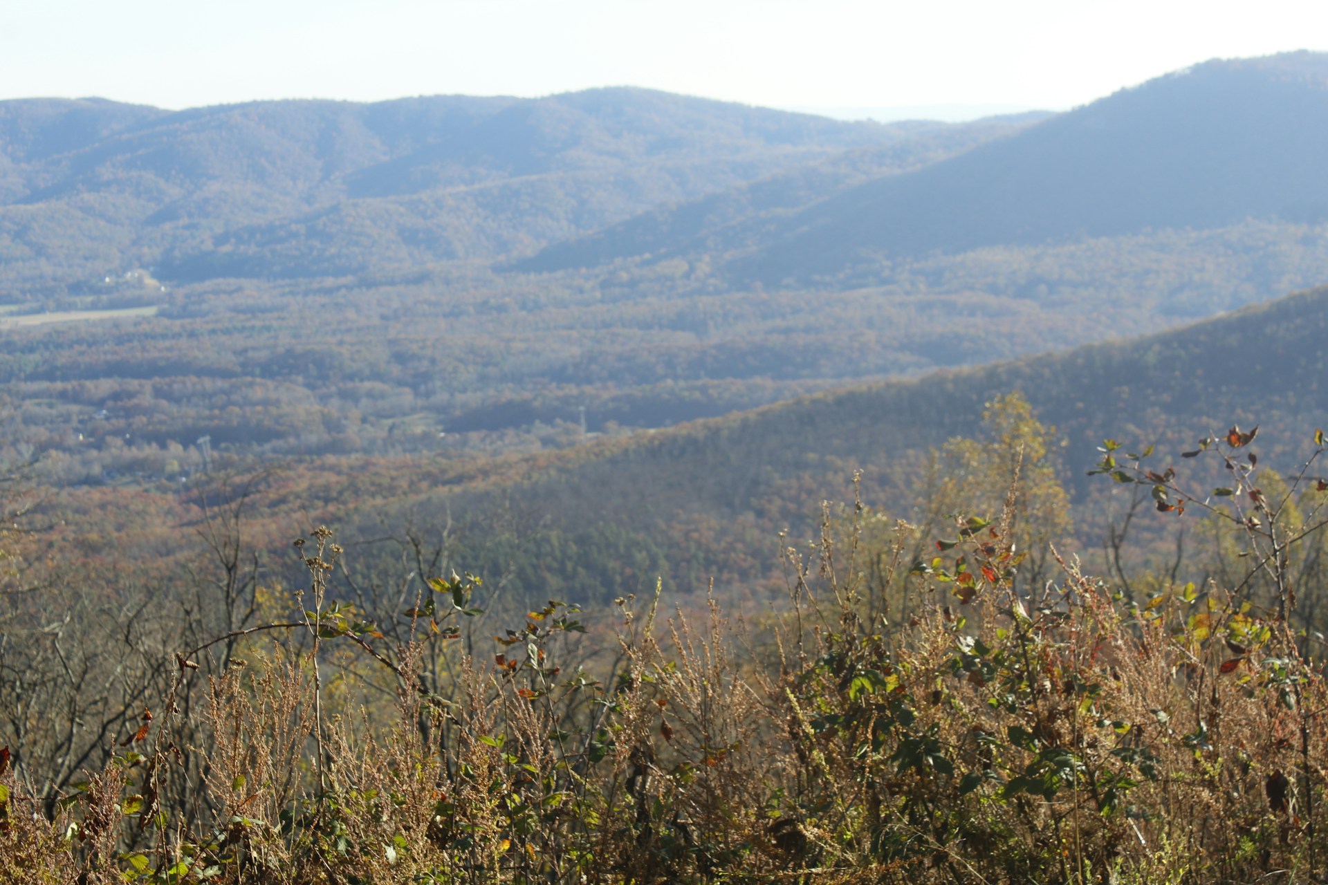 a view of a mountain range with trees in the foreground