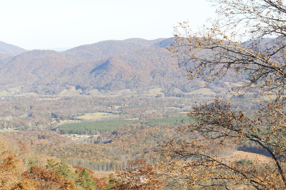 a view of a valley with mountains in the background