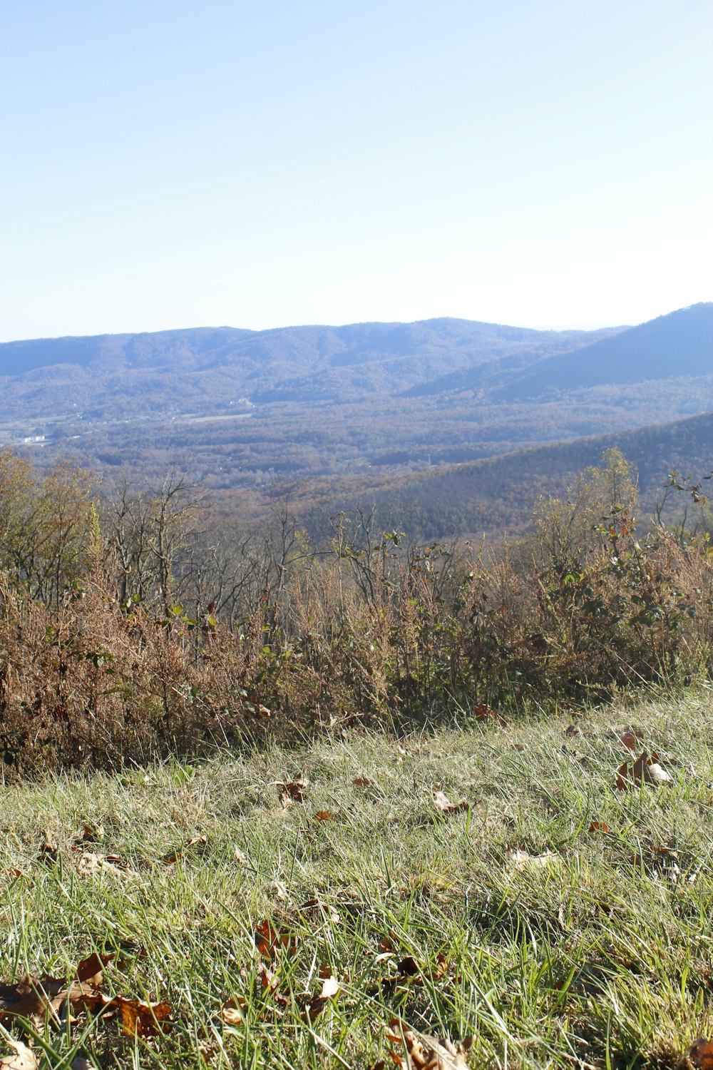 a view of the mountains from a grassy hill