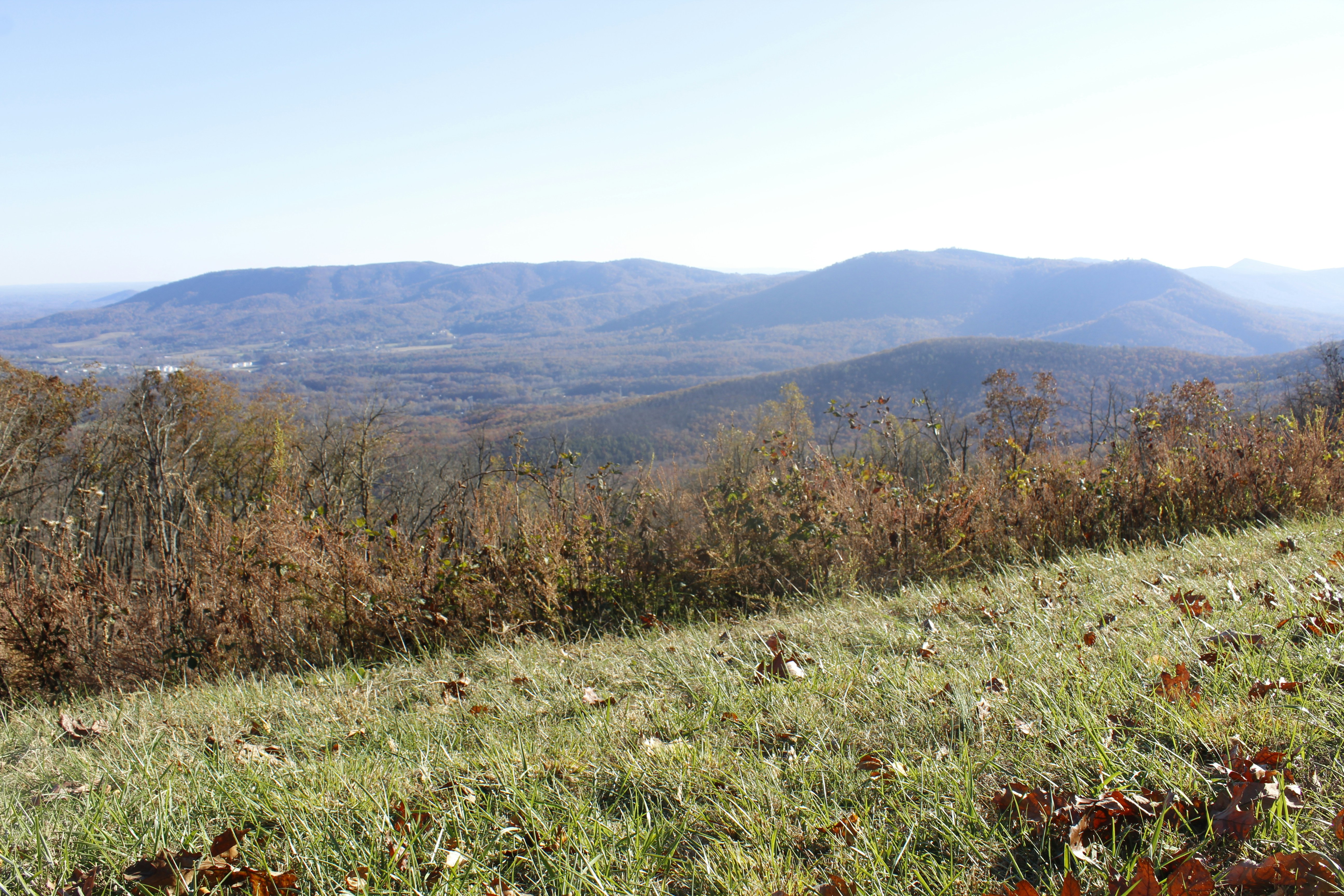 a grassy hill with a view of mountains in the distance
