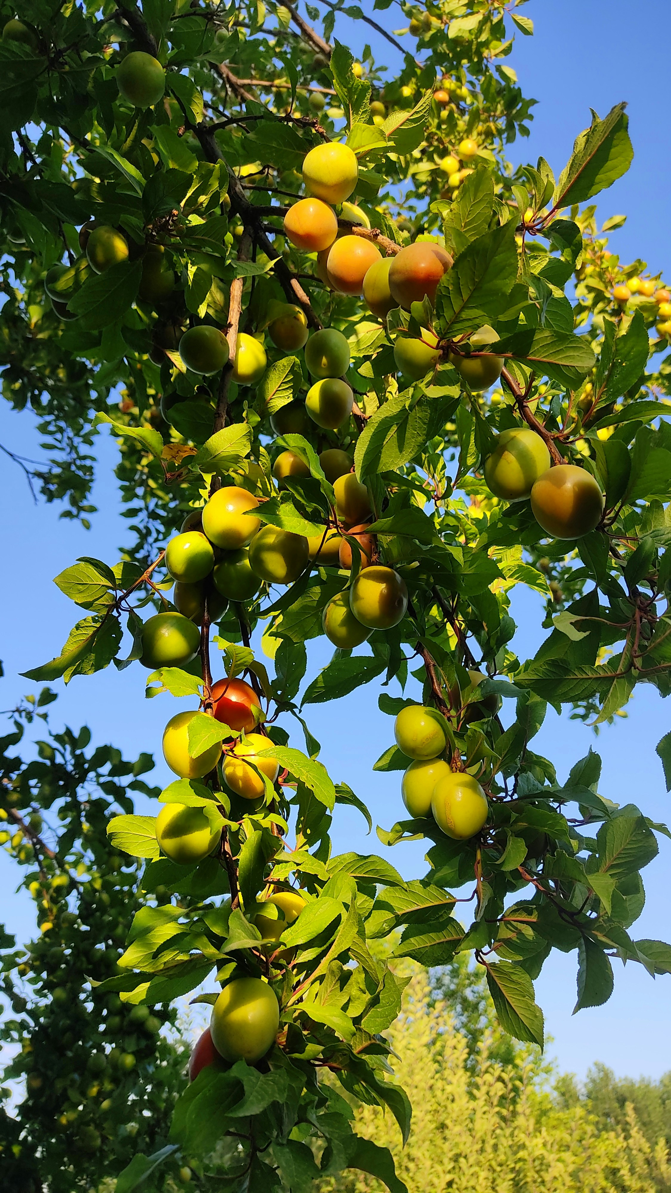 Photo by javadmihani