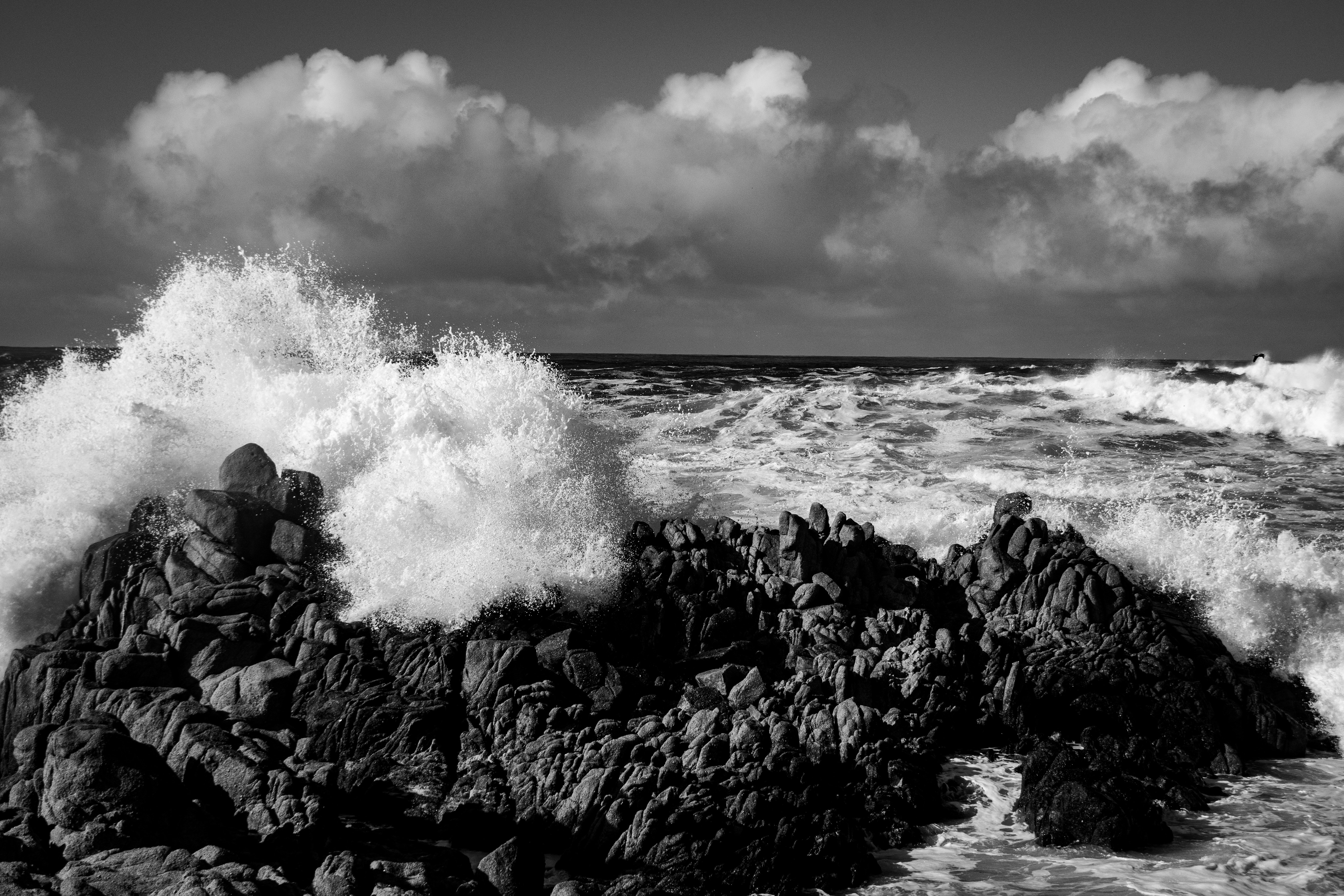 Photo by elisastonephotography