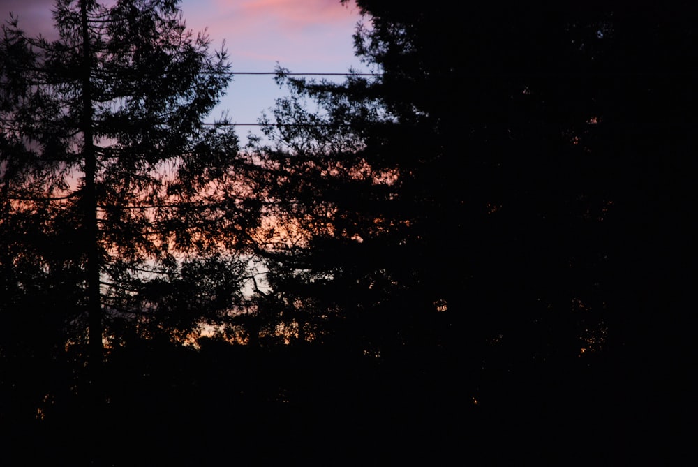 a view of a sunset through some trees