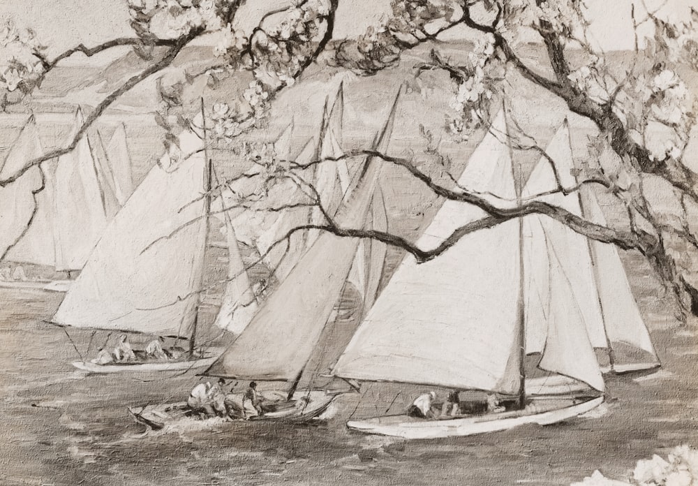 a drawing of a group of sailboats in the water