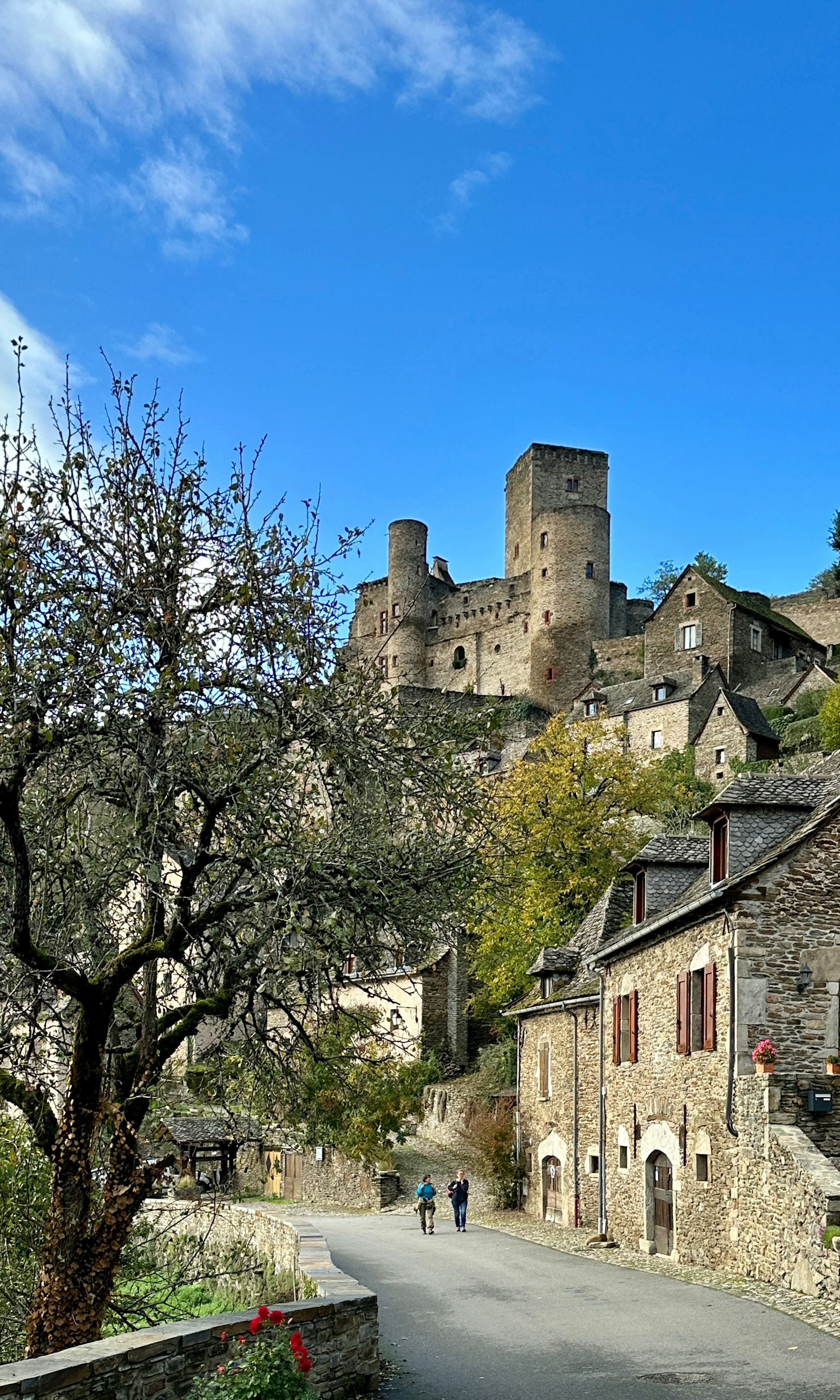 Photo by jdeschrijver54